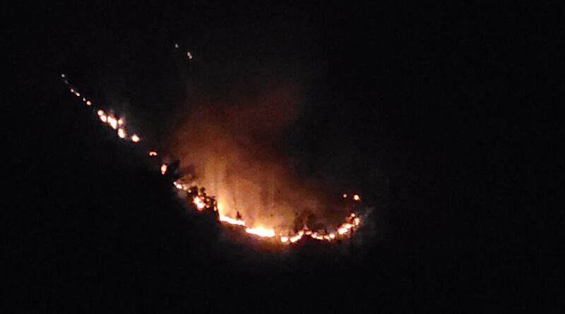 सर्दी में भी धधक रहे हैं उत्तराखंड के जंगल